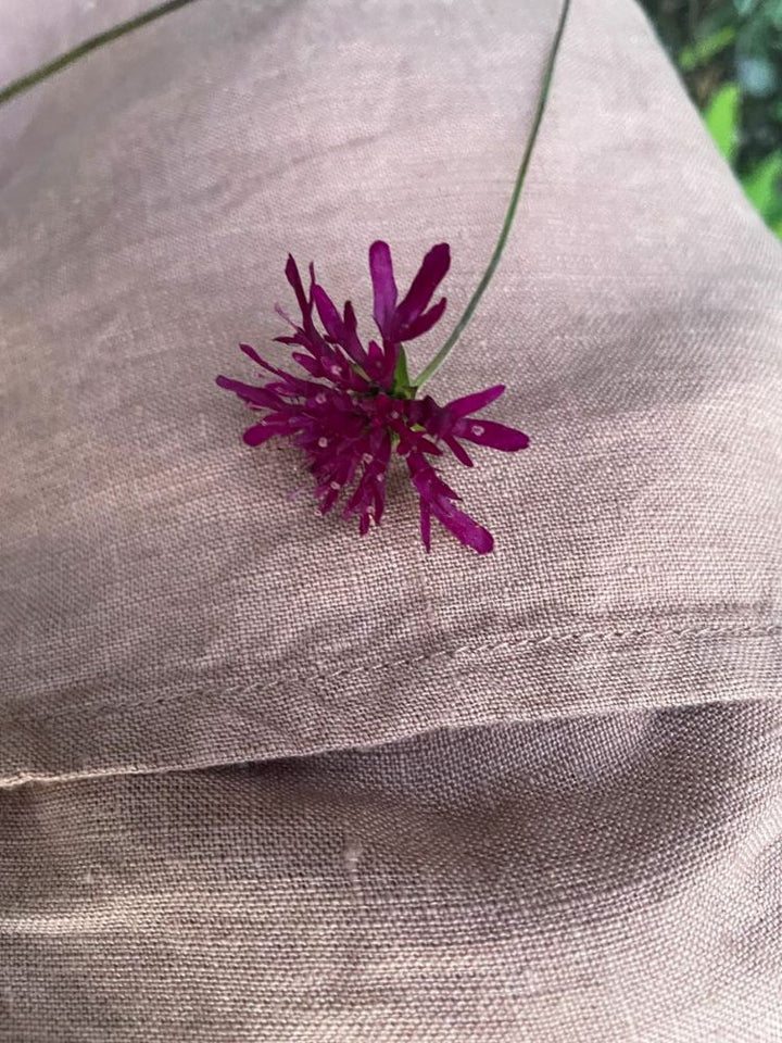 Wildbloom Fastvikle, Apricot Blush