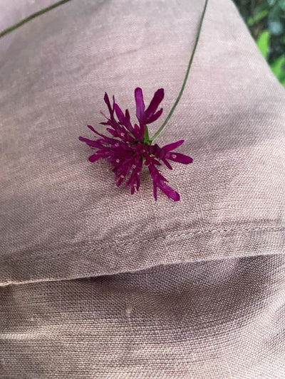 Wildbloom Fastvikle, Apricot Blush