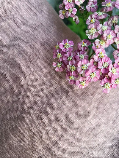 Wildbloom Fastvikle, Apricot Blush