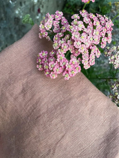 Wildbloom Fastvikle, Apricot Blush