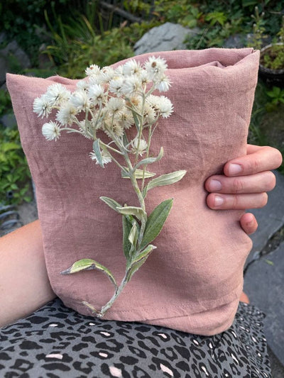 Wildbloom Fastvikle, Apricot Blush