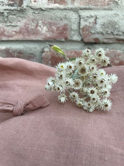 Wildbloom Fastvikle, Apricot Blush