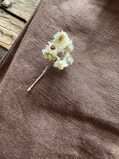 Wildbloom  Fastvikle, Cocoa