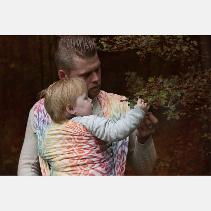Yaro Fastvikle, La Vita Autumn Rainbow